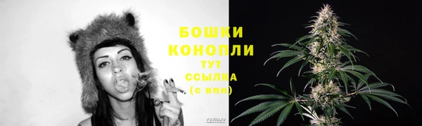 ГАЛЛЮЦИНОГЕННЫЕ ГРИБЫ Верея