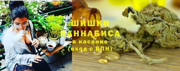 ГАЛЛЮЦИНОГЕННЫЕ ГРИБЫ Верея