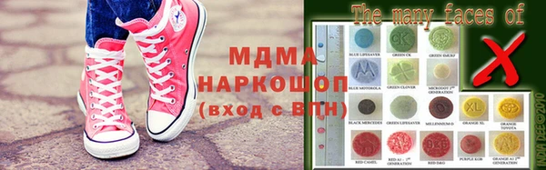 ГАЛЛЮЦИНОГЕННЫЕ ГРИБЫ Верея