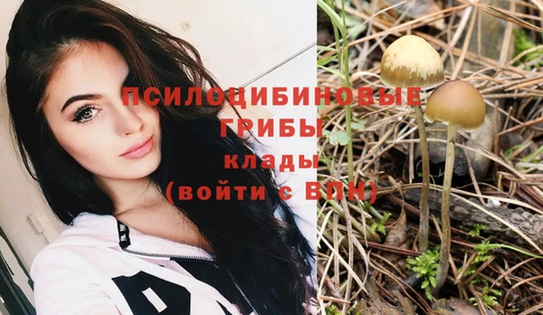 jwh Верхний Тагил