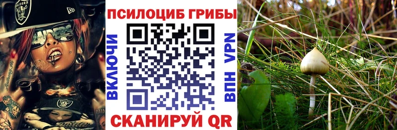 Псилоцибиновые грибы прущие грибы закладка Майкоп